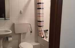 De vanzare garsoniera, 38 mp, decomandata, gradina 66 mp, zona strazii Frunzisului