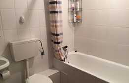 De vanzare garsoniera, 38 mp, decomandata, gradina 66 mp, zona strazii Frunzisului