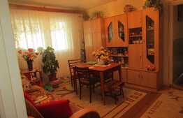 De vanzare apartament 3 camere, 55 mp, parcare, boxa, zona Big