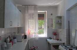 De vanzare apartament 2 camere, 44, 63 mp, zona Facultatii de Litere