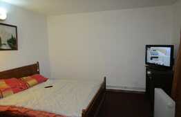 De inchiriat demisol in vila, 1 camera, 52 mp, 2 locuri de parcare! Zoan Tauti!