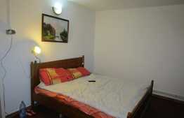 De inchiriat demisol in vila, 1 camera, 52 mp, 2 locuri de parcare! Zoan Tauti!