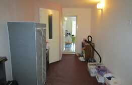 De inchiriat demisol in vila, 1 camera, 52 mp, 2 locuri de parcare! Zoan Tauti!