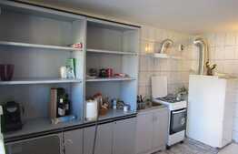 De inchiriat demisol in vila, 1 camera, 52 mp, 2 locuri de parcare! Zoan Tauti!