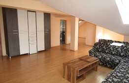 Apartament 6 camere, 220 mp, parcare, boxa, zona strazii Fagului