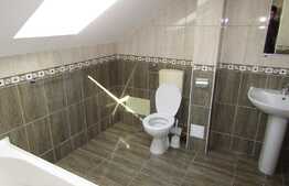 Apartament 6 camere, 220 mp, parcare, boxa, zona strazii Fagului