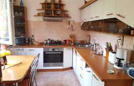 De vanzare casa individuala, 120 mp, teren 220, zona Parcului Iris