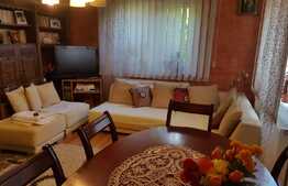 De vanzare casa individuala, 120 mp, teren 220, zona Parcului Iris