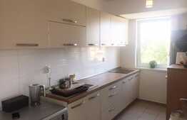 Apartament 3 camere, 55 mp, terasa 27 mp, parcare, boxa, zona strazii Buna Ziua