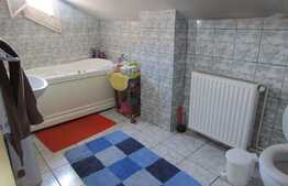 Vanzare casa individuala, 185 mp, 462 mp teren, 2 terase,  zona centrala!