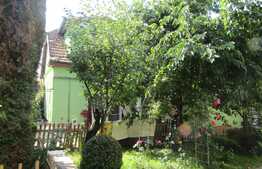 Vanzare casa individuala, 185 mp, 462 mp teren, 2 terase,  zona centrala!