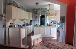 De vanzare casa individuala de 450 mp utili, teren de 2000 mp, zona Faget