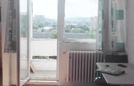 Garsoniera de vanzare, 28 mp, zona Mercur