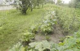 Vanzare teren de 1410 mp, cu casa demolabila, zona strazii Avram Iancu!