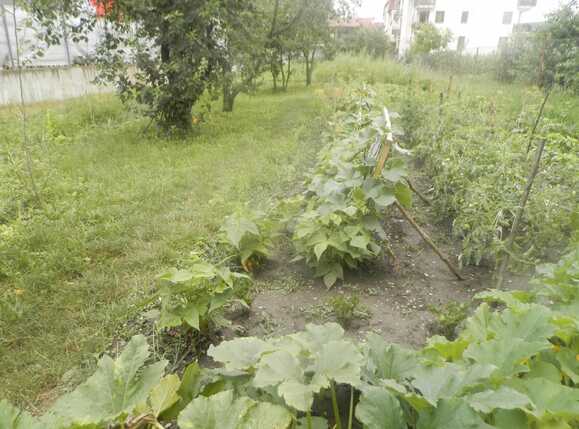 Teren de vânzare Floreşti - 26242TV | BLITZ Cluj-Napoca | Poza6