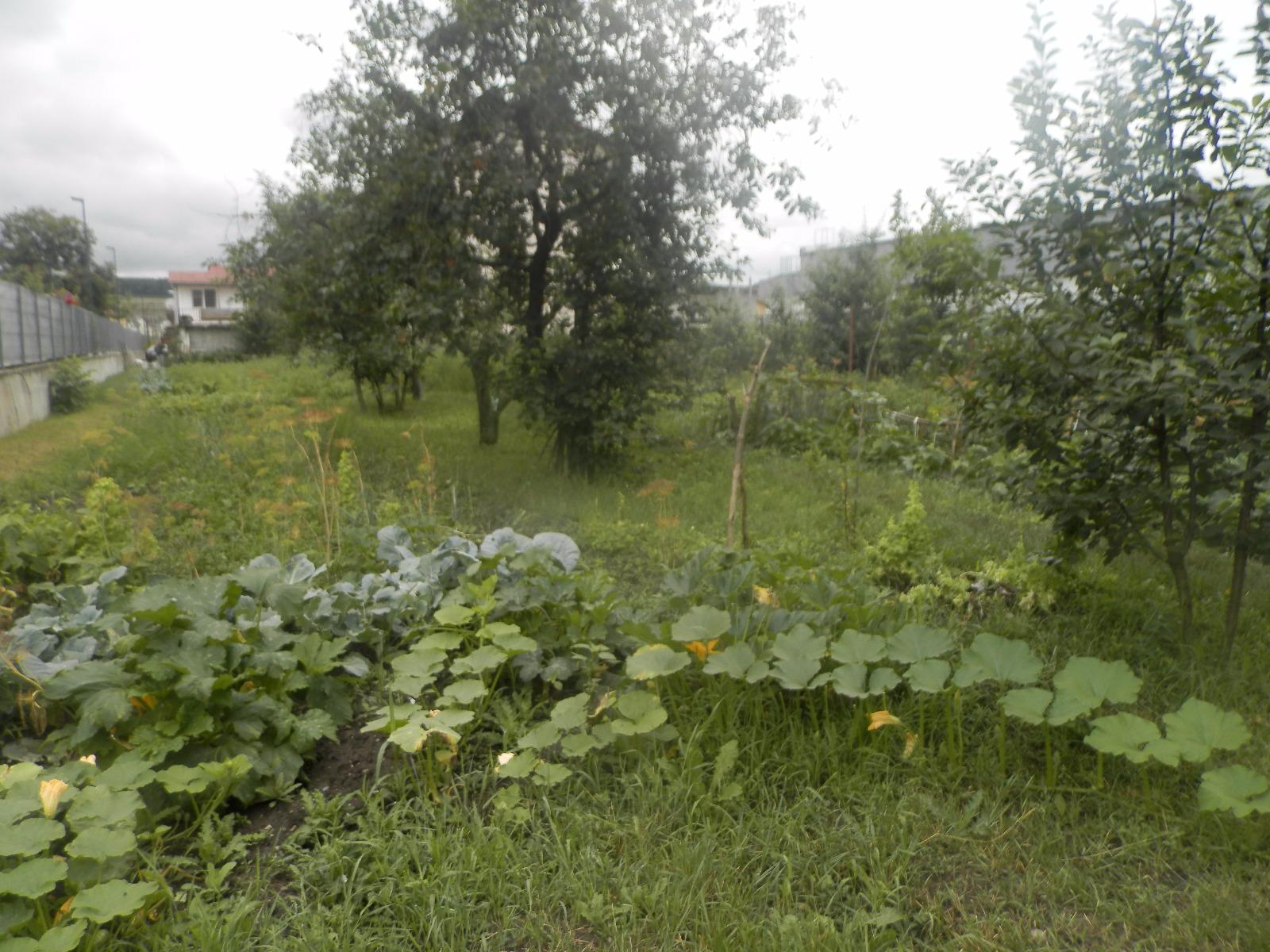 Teren de vânzare Floreşti - 26242TV | BLITZ Cluj-Napoca | Poza4