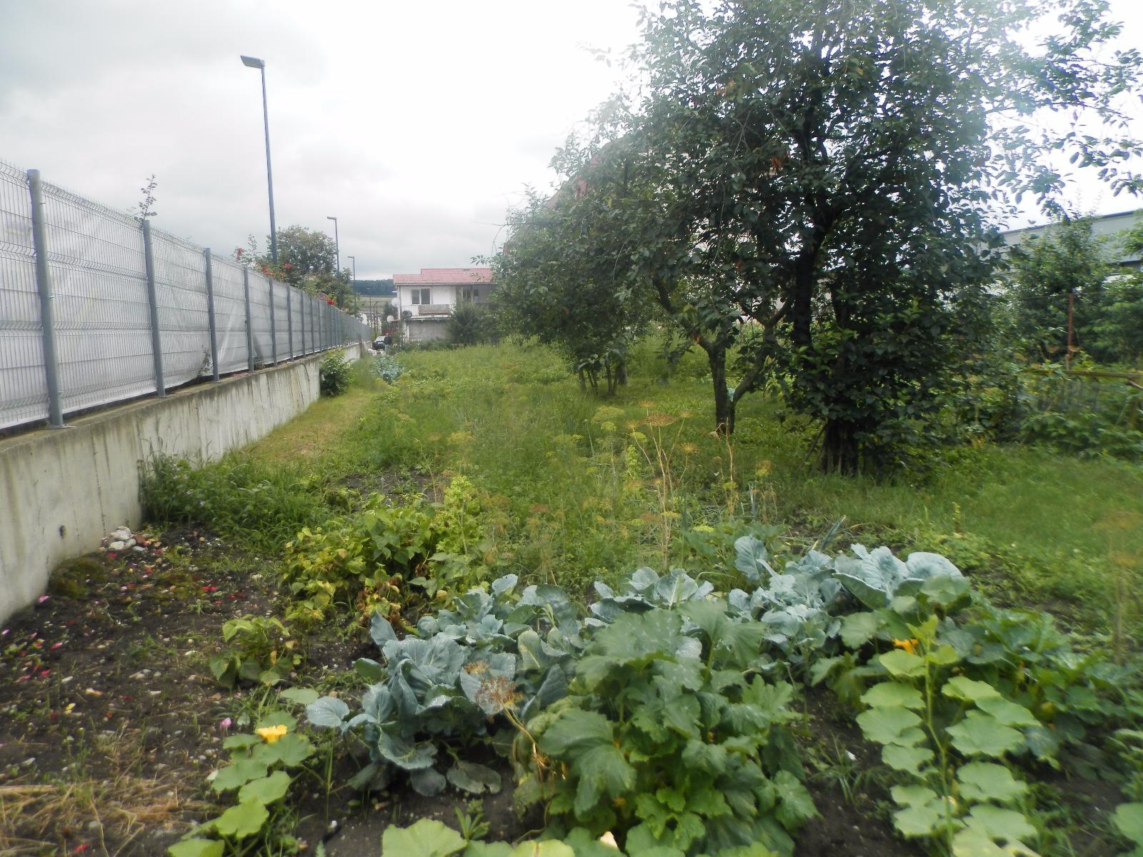 Teren de vânzare Floreşti - 26242TV | BLITZ Cluj-Napoca | Poza2