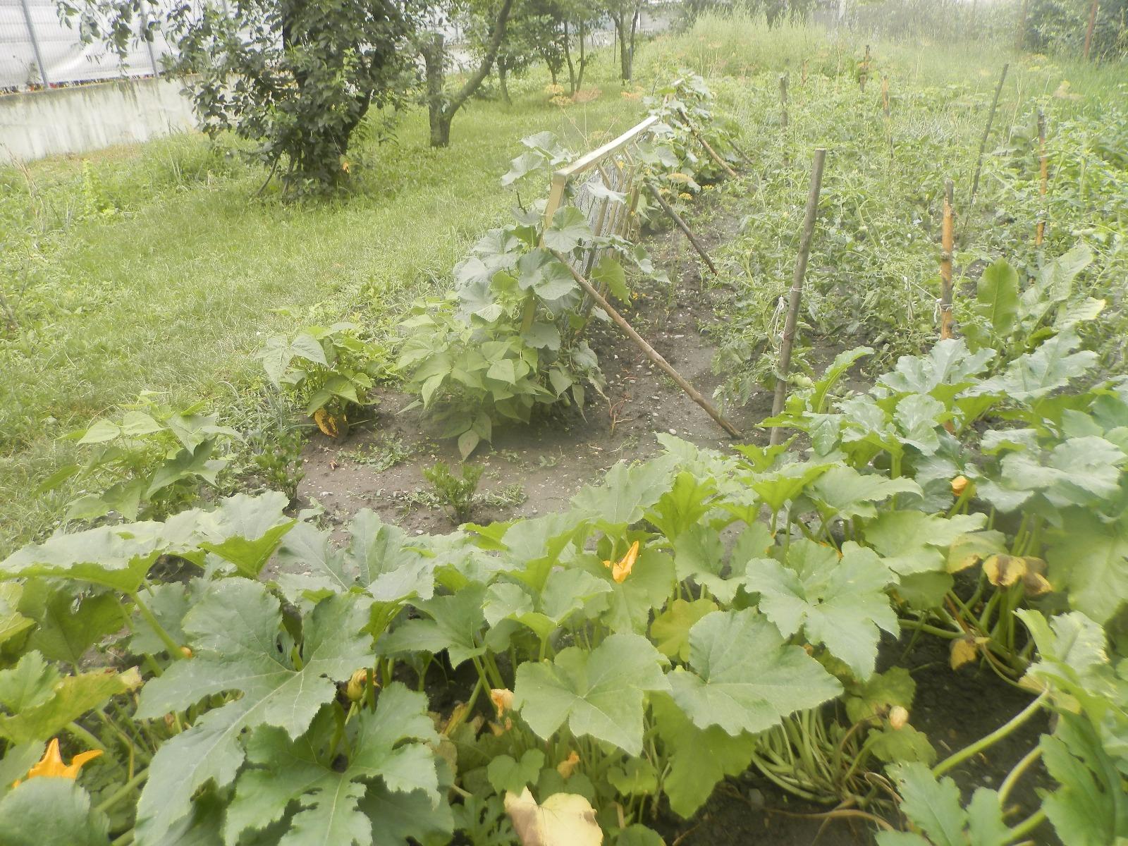 Teren de vânzare Floreşti - 26242TV | BLITZ Cluj-Napoca | Poza3