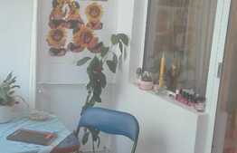 De vanzare garsoniera 28 mp, etaj intermediar, zona Profi