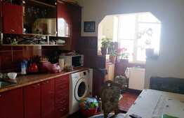 2 camere, 50 mp, decomandat, parcare, boxa subsol, zona Caminelor Studentesti