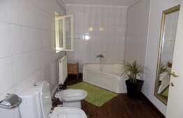 2 camere, 60 mp, prima inchiriere, gradina privata 300 mp, zona Interservisan