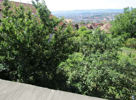 Casa de vânzare 4 camere Dambul Rotund - 26293CV | BLITZ Cluj-Napoca | Poza4