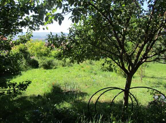 Casa de vânzare 4 camere Dambul Rotund - 26293CV | BLITZ Cluj-Napoca | Poza3