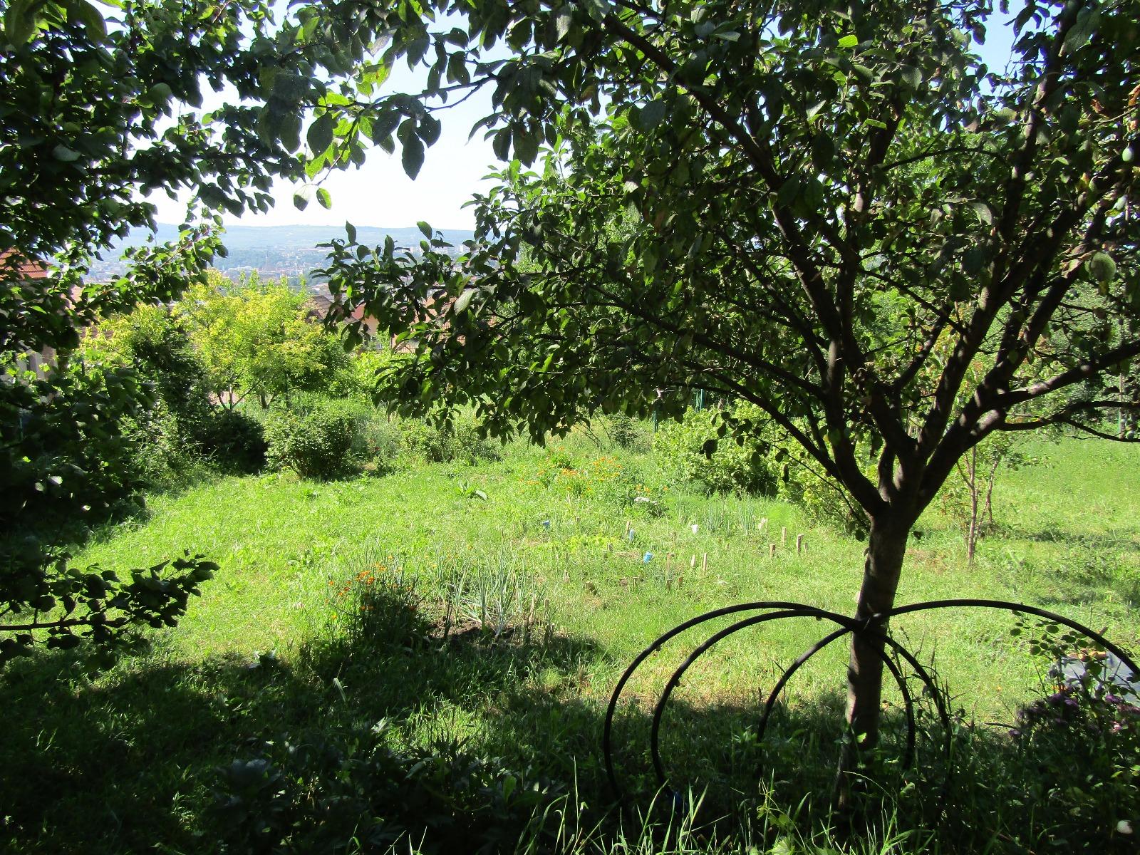 Casa de vânzare 4 camere Dambul Rotund - 26293CV | BLITZ Cluj-Napoca | Poza3