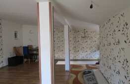 Casa individuala, 110 mp, teren 102 mp, front 10,5 ml, zona Parcului Central