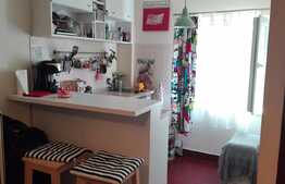 De vanzare garsoniera, 16 mp, zona strazii Paris