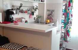 De vanzare garsoniera, 16 mp, zona strazii Paris