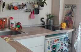 De vanzare garsoniera, 16 mp, zona strazii Paris