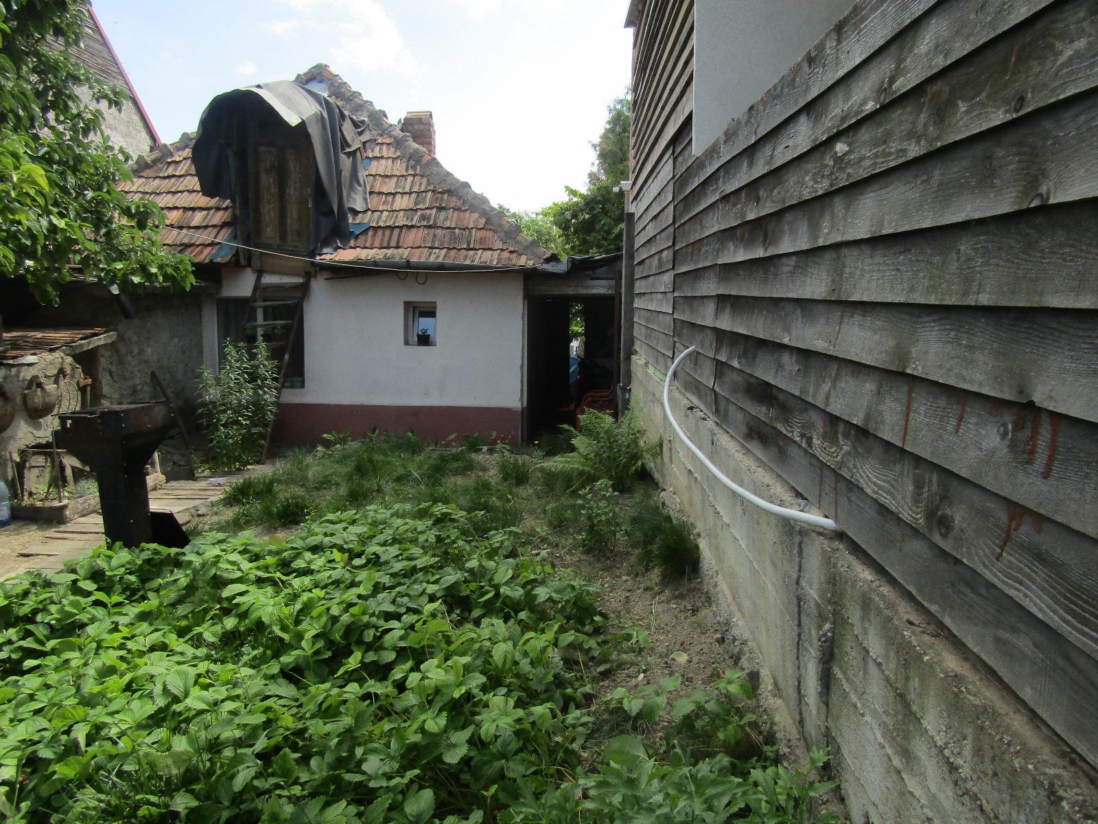 Casa de vânzare 3 camere Zorilor - 26381CV | BLITZ Cluj-Napoca | Poza7