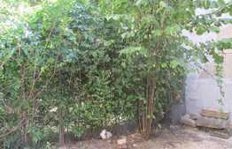 Apartament 2 camere, 54 mp, terasa 39 mp, zona strazii Decebal