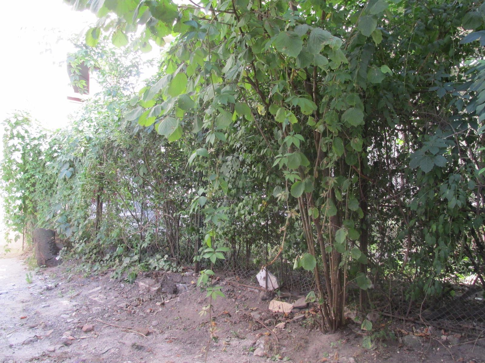 Apartament de vânzare 2 camere Central - 26382AV | BLITZ Cluj-Napoca | Poza9