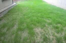 Duplex de 120 mp utili, teren de 240 mp! Semifinisat! Zona de case!