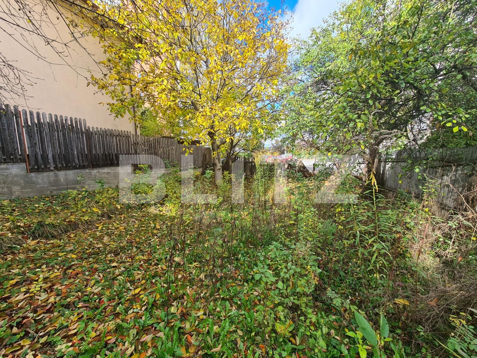 Casa de vânzare 1 camera Zorilor - 26468CV | BLITZ Cluj-Napoca | Poza2