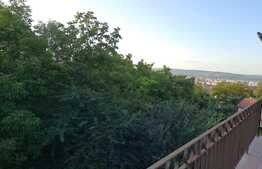 Vanzare casa individuala, 500 mp utili, 500 mp teren, front 25 ml