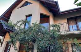 Vanzare casa individuala, 500 mp utili, 500 mp teren, front 25 ml