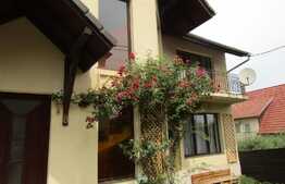 Vanzare casa individuala, 500 mp utili, 500 mp teren, front 25 ml