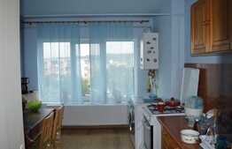 Apartament 2 camere, decomandat, 50 mp, logie, boxa subsol, zona strazii Dunarii