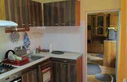 Garsoniera 32 mp, boxa subsol, zona Kaufland