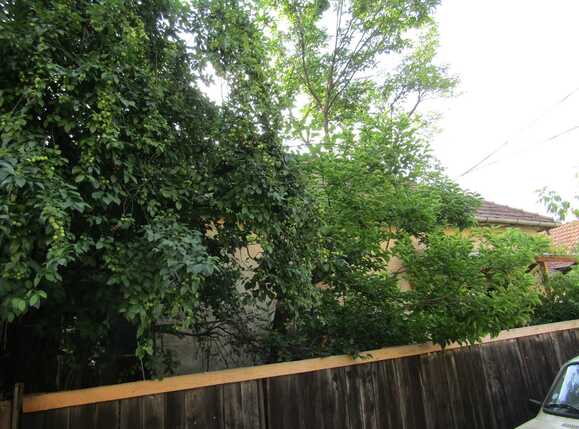 Apartament de vânzare 2 camere Marasti - 26489AV | BLITZ Cluj-Napoca | Poza3