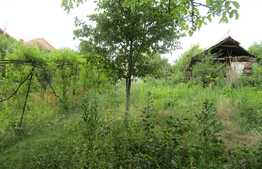 Casa demolabila, 60 mp, teren de 975 mp, front 15 ml