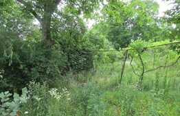 Casa demolabila, 60 mp, teren de 975 mp, front 15 ml