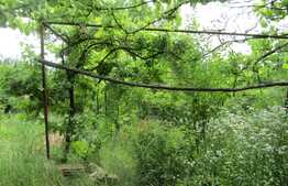 Casa demolabila, 60 mp, teren de 975 mp, front 15 ml