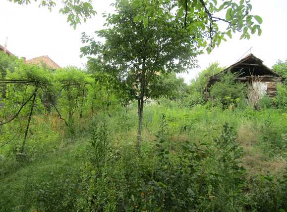 Casa de vânzare 2 camere Dambul Rotund - 26497CV | BLITZ Cluj-Napoca | Poza5