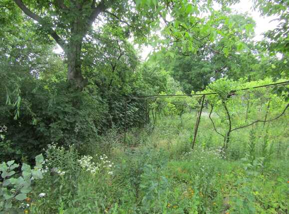 Casa de vânzare 2 camere Dambul Rotund - 26497CV | BLITZ Cluj-Napoca | Poza4