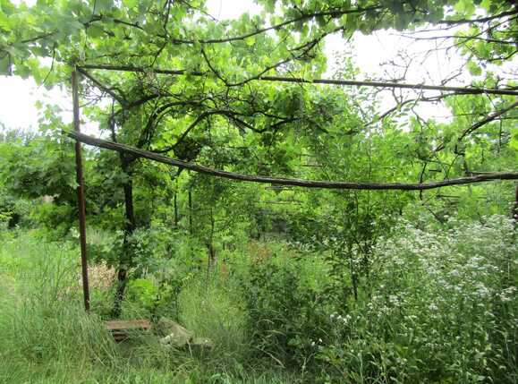 Casa de vânzare 2 camere Dambul Rotund - 26497CV | BLITZ Cluj-Napoca | Poza6