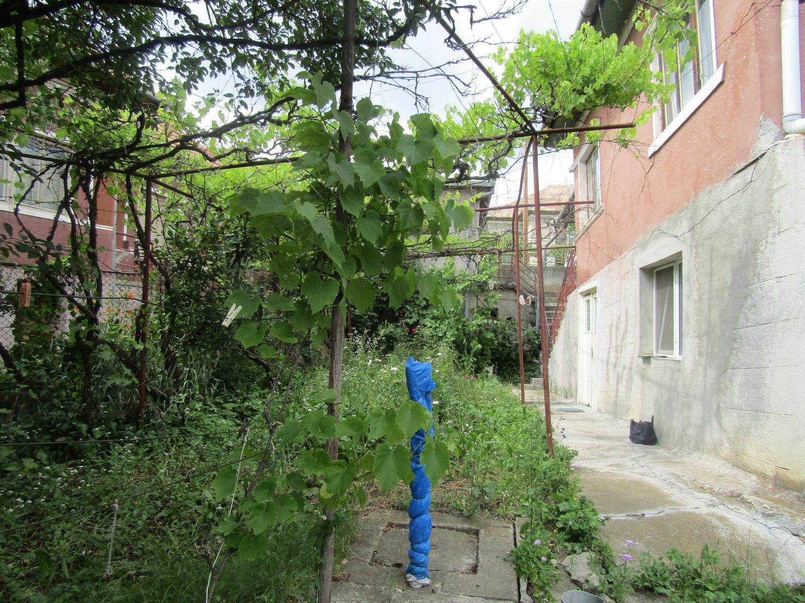 Casa de vânzare 2 camere Dambul Rotund - 26497CV | BLITZ Cluj-Napoca | Poza3